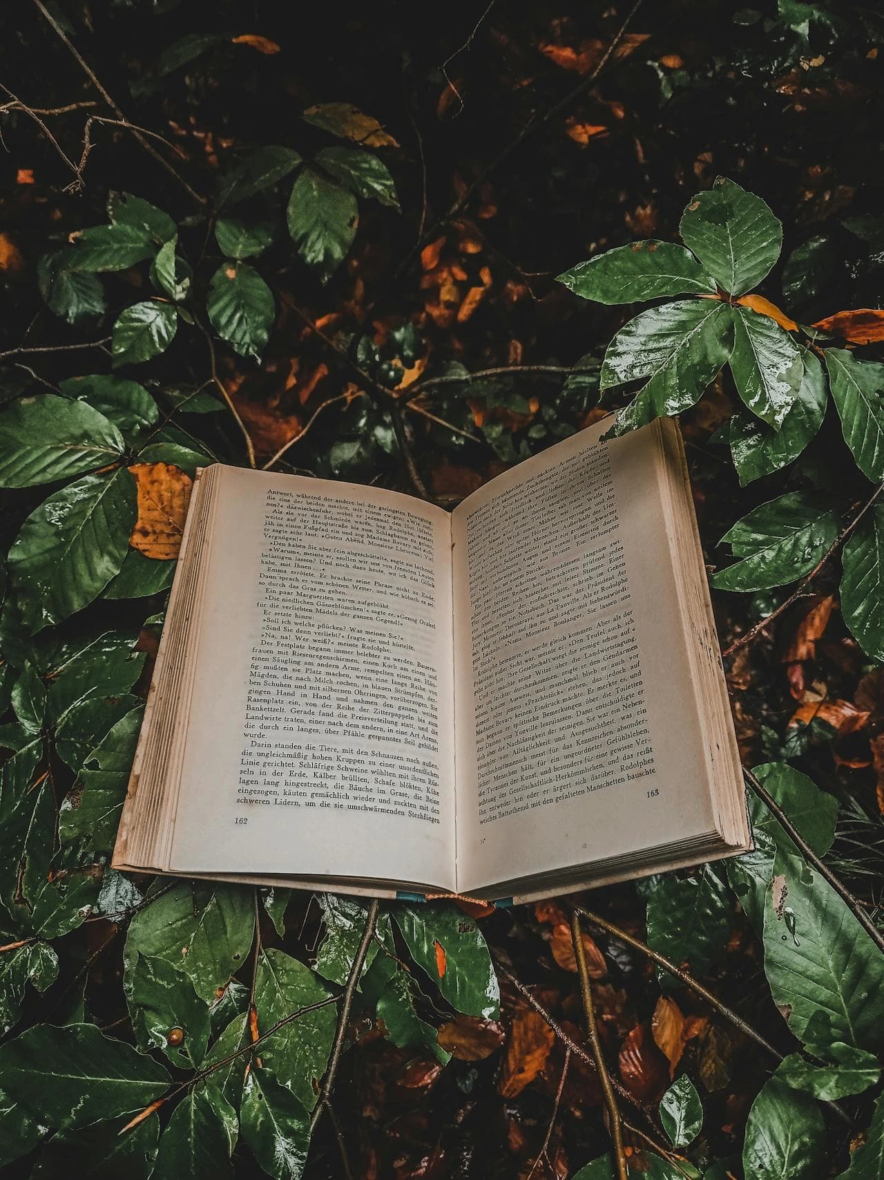 Open book